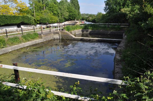 Lock 97 ponds