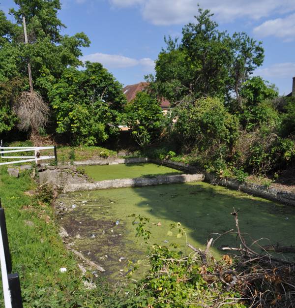 Side ponds at Norwood Locks, Lock 91 Ponds covered in green week arranged in square formation