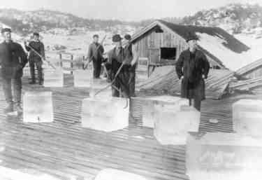 Men handling large blocks of ice with large tongs