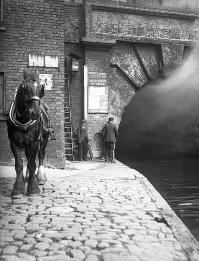 A horse on the cobbled towpath beside the  tunnel mouth, facing the camera. Steam or smoke emerge from the tunnel.