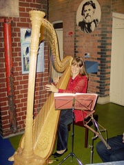 A Harpist Entertains