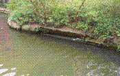 WW2 Stop Gate